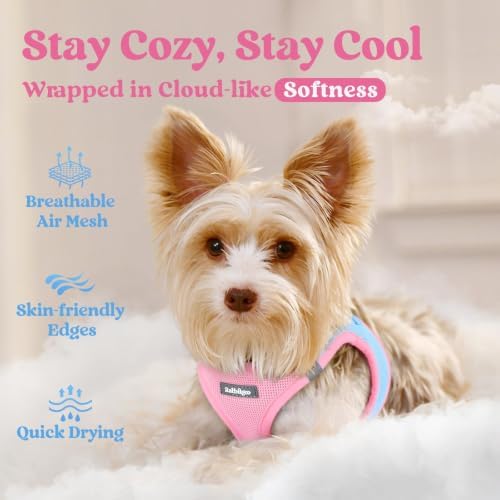 rabbitgoo Step-in Small Dog Harness, Puppy Vest for Small Sized Pet - Image 3