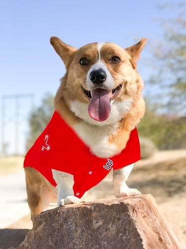 Official MLB Boston Red Sox Pet Jersey for Dogs & Cats, Size Medium - Stylish Baseball Jersey for Your Furry Fan- Show Off Team Spirit with The Perfect Fan Apparel Gear for Pet, Dog & Cat - Image 4