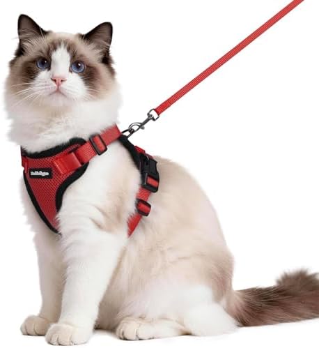rabbitgoo Cat Harness and Leash Set, Escape Proof Vest, Red by rabbitgoo