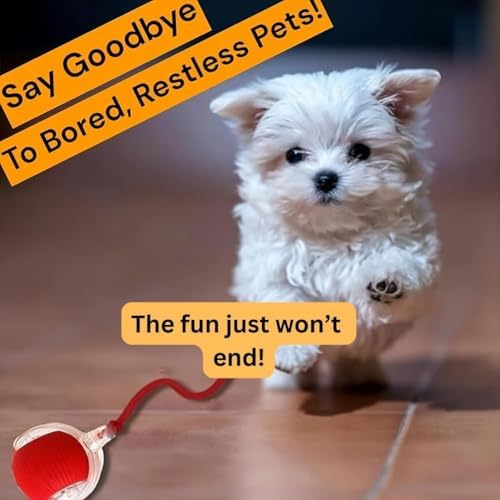 Interactive Electric Automatic Rolling Moving Rechargeable Self Play Stimulation Toy,Smart Pet Chase with Speedy Tail Rope for Bored Indoor Cats (Blue) - Image 3