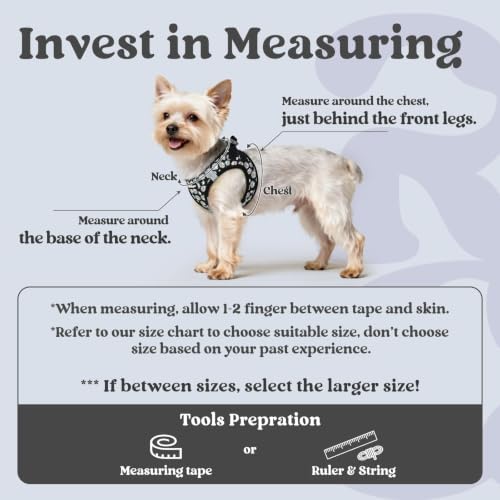 rabbitgoo Step-in Small Dog Harness, Puppy Vest for Small Sized Pet - Image 2