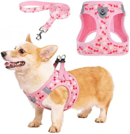 KOOLTAIL Dog Harness for Small Medium Dogs,Dog Harness and Leash Set, Step in No Pull Soft Mesh Padded Adjustable and Reflective Pet Vest Harness Puppy, Plaid Extra Harness for XS S Dogs,Pink Cherry,M by KOOLTAIL