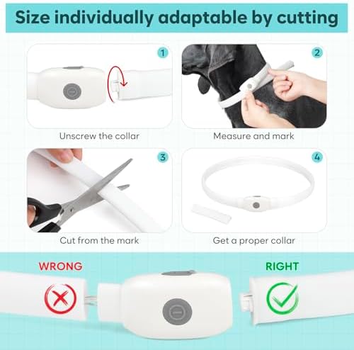 HIGO RGB LED Dog Collar Light - USB Rechargeable Light Up Dog Collars, Safety LED Dog Necklace for Your Dogs Walking at Night (Multi-Color) - Image 5