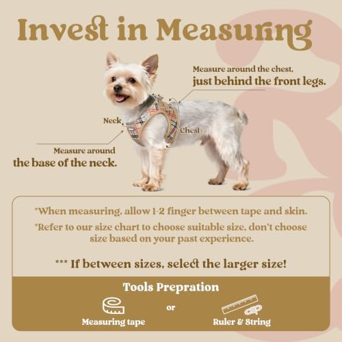rabbitgoo Step-in Small Dog Harness, Puppy Vest for Small Sized Pet - Image 2