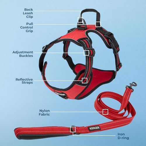 Voyager Dog Harness Dual Leash Attachment No-Pull Control Adjustable Soft but Strong Pet Harness for Medium and Large Dogs with 3M Reflective Technology, Leash Set Red Nylon, S (Chest: 16-20") - Image 3