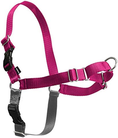 PetSafe Easy Walk No-Pull Dog Harness - Ultimate Harness to Help Stop Pulling - Pull-Free Walks - Take Control & Teach Better Leash Manners - Patented Martingale Loop Design - Raspberry, X-Large by PetSafe