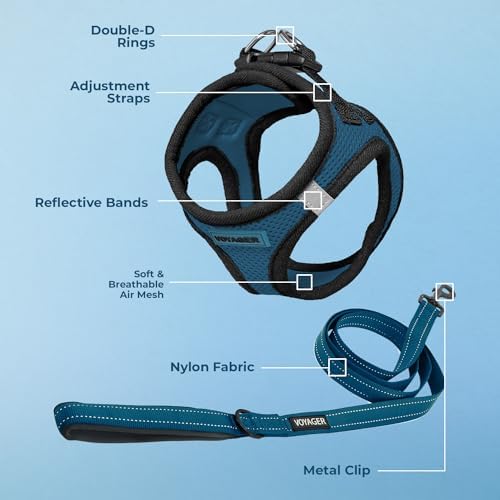 Best Pet Supplies Voyager Step-in Air All Weather Mesh Harness and Reflective Dog 5ft Leash Combo with Neoprene Handle, for Small, Medium and Large Breed Puppies - Blue/Black Trim, Medium - Image 4