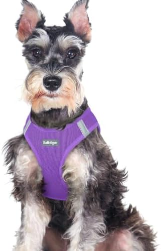 rabbitgoo Step-in Small Dog Harness, Puppy Vest for Medium Sized Pet by rabbitgoo