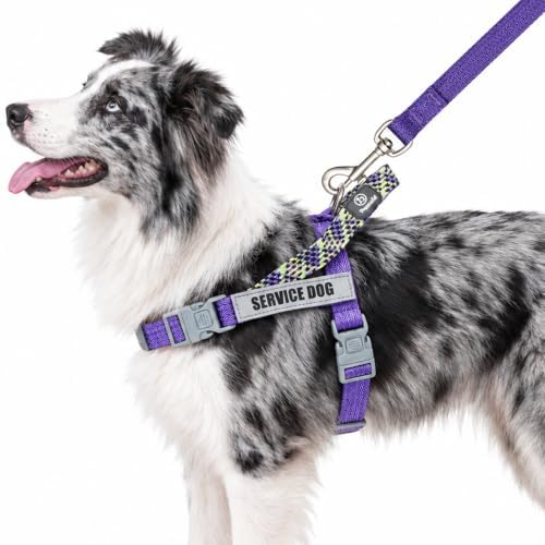 No Pull Dog Harness and Leash Set, Australian Dog Harness, Service Dog Harness with Handle and 4 Reflective Patches, Adjustable Training Vest for Small, Medium and Large Dogs (Purple,L) by Paworld