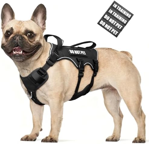 WINSEE Escape Proof Dog Harness with Double Handle+4 Removable Patches by WINSEE