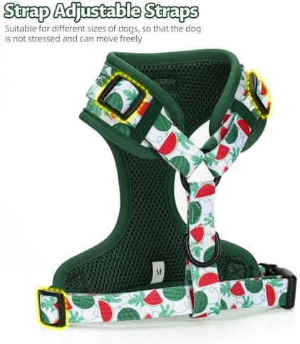 Dog Harness and Leash Set, Adjustable Dog Harness, Dog Leash, No Pull No Choke Puppy Harnesses for Walking Training for Small Medium Pet (Green Watermelon, M(Chest 15.7-22.1", Neck 12-15")) - Image 3