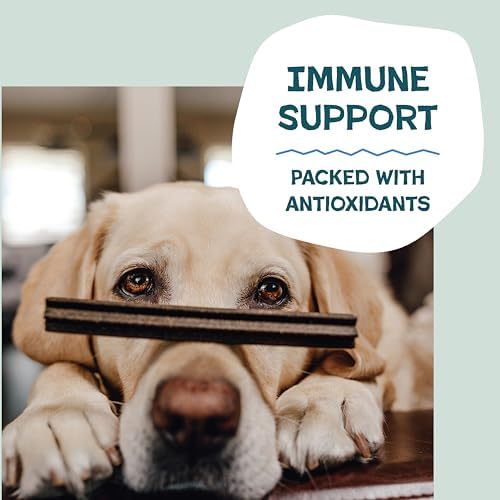 Shameless Pets Blueberry & Mint Dental Chews for Dogs, 8 Chews - Image 6