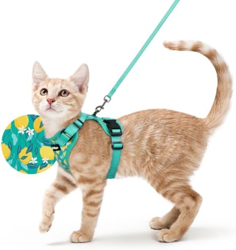 rabbitgoo Cat Harness and Leash Set, Escape Proof Vest, Lemon Grove by rabbitgoo