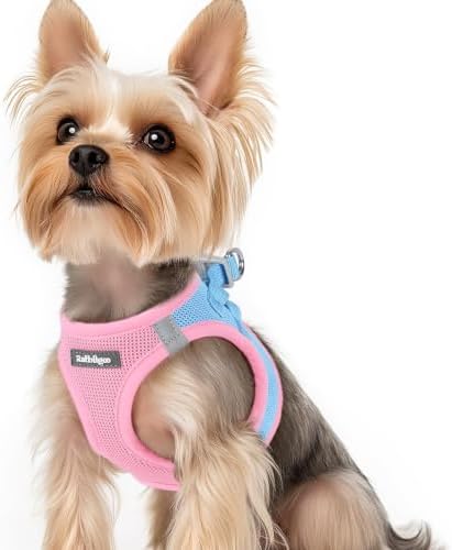 rabbitgoo Step-in Small Dog Harness, Puppy Vest for Small Sized Pet by rabbitgoo