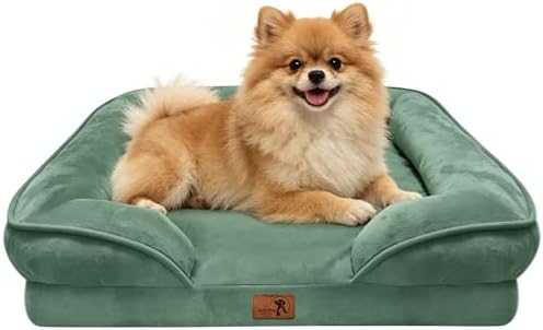 Spotted Play Orthopedic Dog Bed with Sides - Sofa Beds for Small Dogs, Supportive Foam Pet Couch Bed with Washable Removable Cover, Waterproof Lining and Non-Slip Bottom, Green - S by Spotted+Play
