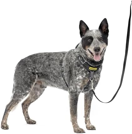 PetSafe Easy Walk Comfort No Pull Dog Harness, Black, Medium by PetSafe