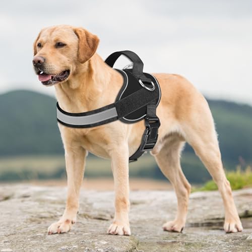 Haapaw Essential Dog Harness, No Pull Pet Vest with 3 Leash Clips, No Choke, Reflective, Adjustable and Padded, for Easy Walking and Training for Large Dogs(L, Black) - Image 3