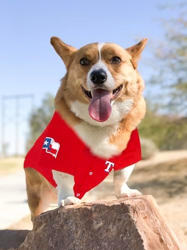 Official MLB Texas Rangers Pet Jersey for Dogs & Cats, Size Medium - Stylish Baseball Jersey for Your Furry Fan- Show Off Team Spirit with The Perfect Fan Apparel Gear for Pet, Dog & Cat - Image 5