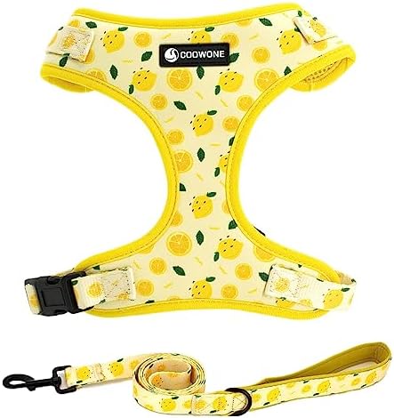 Dog Harness and Leash Set, Adjustable Dog Harness, Dog Leash, No Pull No Choke Puppy Harnesses for Walking Training for Small Medium Pet by COOWONE