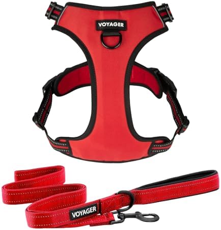 Voyager Dog Harness Dual Leash Attachment No-Pull Control Adjustable Soft but Strong Pet Harness for Medium and Large Dogs with 3M Reflective Technology, Leash Set Red Nylon, M (Chest: 20-25") by BestPetSuppliesLLC