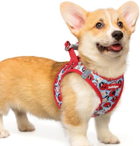 rabbitgoo Step-in Small Dog Harness, Puppy Vest for Small Medium Sized Pet by rabbitgoo