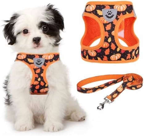 KOOLTAIL Fall Dog Harness and Leash Set for Small Medium Dogs, Thanksgiving Step in No Pull Comfort Padded Pet Vest, Adjustable Reflective Easy Walking Puppy Cats Harness Training, Leaf & Pumpkin S by KOOLTAIL