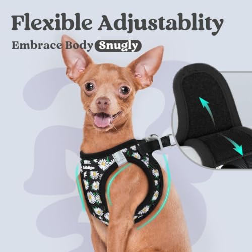 rabbitgoo Step-in Small Dog Harness, Puppy Vest for Small Sized Pet - Image 6