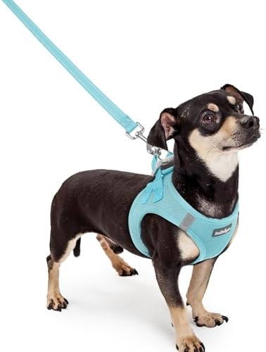 rabbitgoo Dog Harness Small Sized and Leash Set, Step-in Puppy Pet Vest by rabbitgoo
