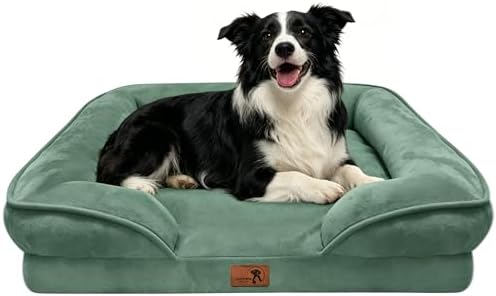 Spotted Play Orthopedic Dog Bed with Sides - Sofa Beds for Large Dogs, Supportive Foam Pet Couch Bed with Washable Removable Cover, Waterproof Lining and Non-Slip Bottom, Green - L by Spotted+Play