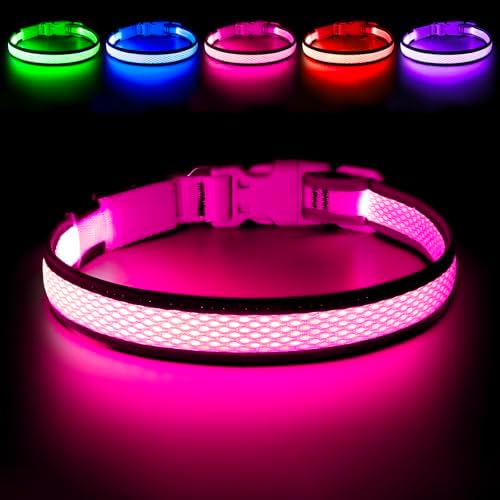 Flashseen LED Dog Collar, Light Up Dog Collar USB Rechargeable by Flashseen