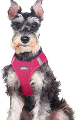 rabbitgoo Step-in Small Dog Harness, Puppy Vest for Medium Sized Pet by rabbitgoo