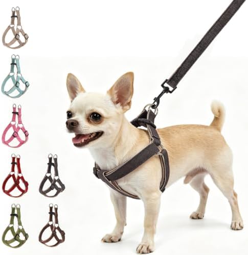 BEAUTYZOO Adjustable No Pull Dog Harness and Leash Set by BEAUTYZOO