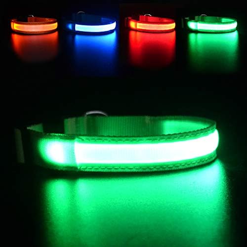 MASBRILL LED Dog Collar,Light Up Dog Collars Rechargeable Lighted Dog Collar Glowing Dog Night Walking Collar 4 Colors for Choice by MASBRILL