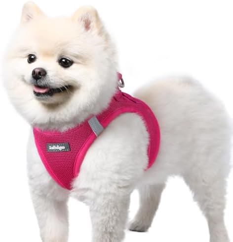 rabbitgoo Step-in Small Dog Harness, Puppy Vest for Small Sized Pet by rabbitgoo