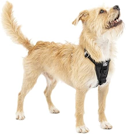 Kurgo Enhanced Strength Tru-Fit Smart Harness, Black, Extra Small by Kurgo
