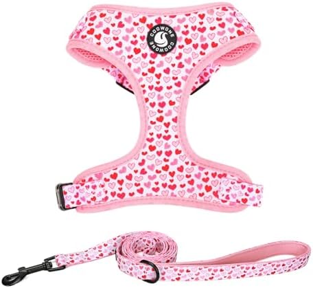 Dog Harness and Leash Set, Adjustable Dog Harness, Dog Leash, No Pull No Choke Puppy Harnesses for Walking Training for Small, Medium Pet (Little Love, L(Chest 19.6-28", Neck 15.7-21.1")) by COOWONE