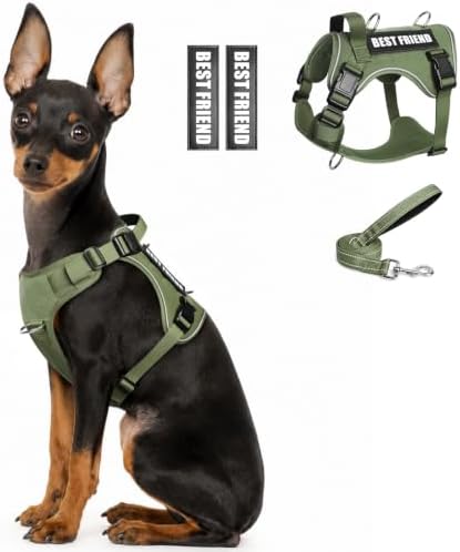 WINSEE No Pull Tactical Dog Harness with Leash Set with 2 Patches by WINSEE