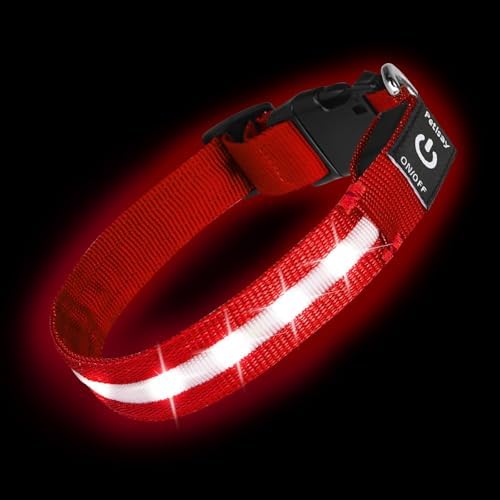 Super Bright LED Dog Collar, Waterproof Light up Collars(Red, Large) by PetIsay