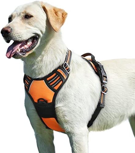 Eagloo Dog Harness for Large Dogs, No Pull Pet Vest with 2 Leash Clips by GoExplorewithEagloo