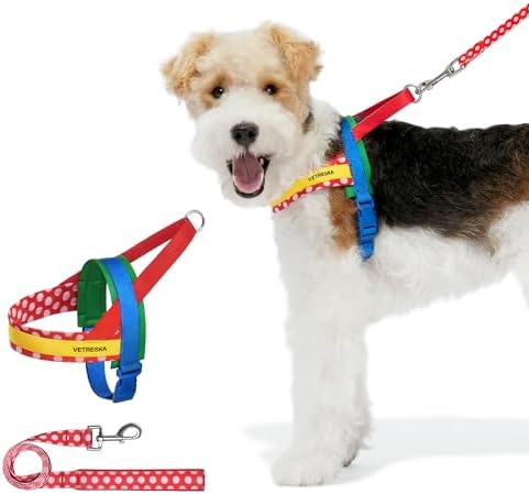 VETRESKA MoMA Dog Harness and Leash Set, No-Pull Puppy Harness (Red, S) by VETRESKA