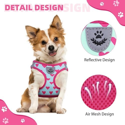 KOOLTAIL Valentines Dog Harness and Leash Set for Small Medium Dogs, Step in No Pull Soft Mesh Dog Harness Padded Pet Vest, Adjustable Reflective Easy Walking Puppy Harnesses Training, Pink Heart XS - Image 4