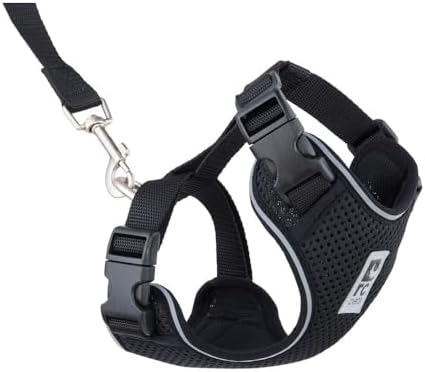 RC Pets Adventure Kitty Harness Includes Adjustable, Airmesh Fabric, 6' Leash and D-Ring Cat Walking Harness | Black, Small by RCPets
