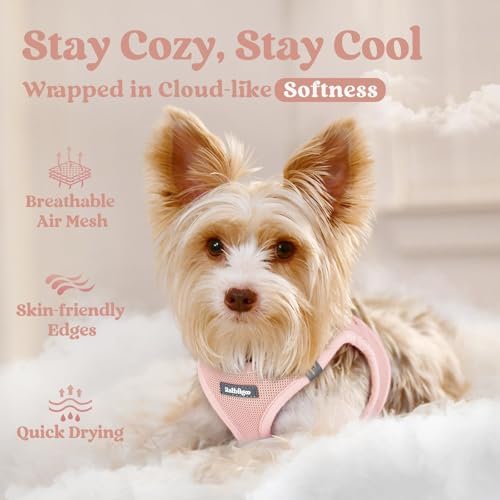 rabbitgoo Step-in Small Dog Harness, Puppy Vest for Small Sized Pet - Image 3