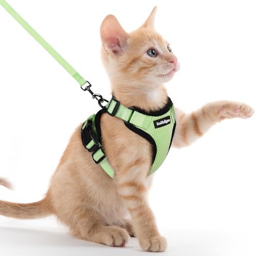rabbitgoo Cat Harness and Leash Set, Escape Proof Vest, Light Green by rabbitgoo