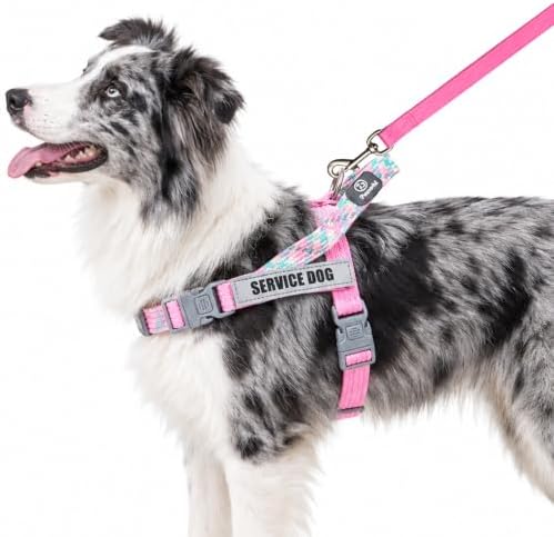 No Pull Dog Harness and Leash Set, Australian Dog Harness, Service Dog Harness with Handle and 4 Reflective Patches, Adjustable Training Vest for Small, Medium and Large Dogs (Pink,XS) by Paworld