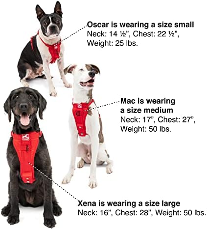 Kurgo Enhanced Strength Tru-Fit Dog Car Harness - Pet Travel Safety Harness - Crash Test Certified Fit - Five Point Adjustment - Secure Buckle - Padded Chest - Deep Violet - Large - Image 5