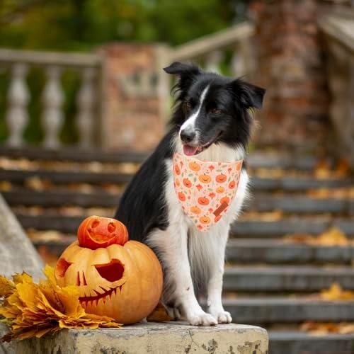PTDECOR Halloween Dog Bandana, Ghost Pumpkin Dog Scarf, Large - Image 3
