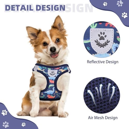 KOOLTAIL Dog Harness and Leash Set for Small Medium Dogs, Step in No Pull Soft Mesh Dog Harness Comfort Padded Pet Vest, Adjustable Reflective Easy Walking Puppy Cats Harness Training, Dinosaur S - Image 4