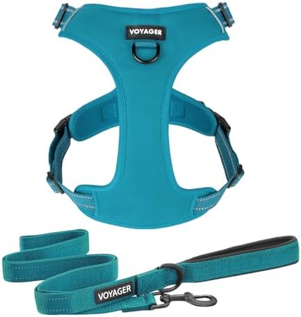 Voyager Dog Harness Dual Leash Attachment No-Pull Control Adjustable Soft but Strong Pet Harness for Medium and Large Dogs with 3M Reflective Technology, Leash Set Turquoise Nylon, XS (Chest: 13-16") by BestPetSuppliesLLC