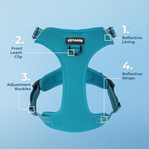 Voyager Dual Attachment No Pull Harness - Turquoise, Medium - Image 3